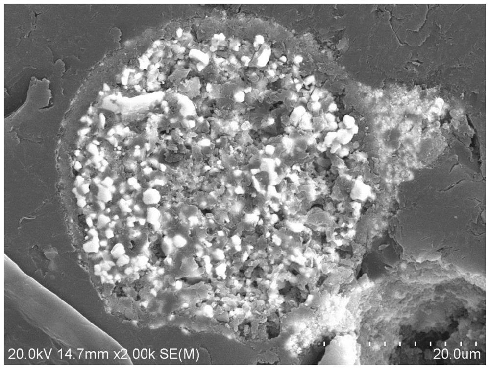 Molybdenum disilicide coated tantalum boride-hafnium carbide spherical powder and preparation method thereof