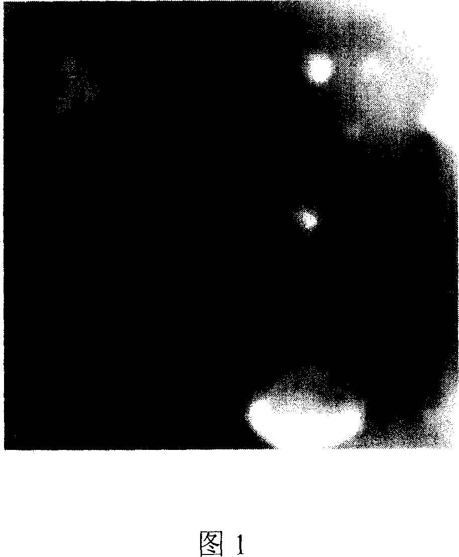 Adulterated titanium-cobalt-stibium based thermoelectric composite material, and preparation method