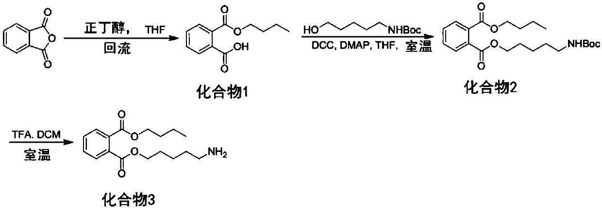 Phthalic acid ester plastifier single-stranded DNA nucleic acid aptamer and screening and representing method and electrochemical sensor thereof