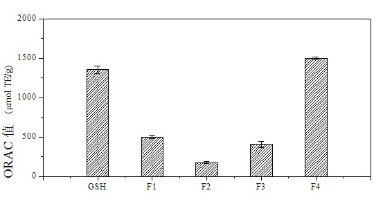 Antioxidant peptide and preparation method thereof