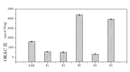 Antioxidant peptide and preparation method thereof