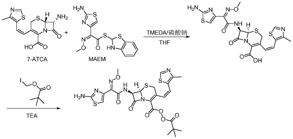 Method for preparing cefditoren pivoxil cephalosporins