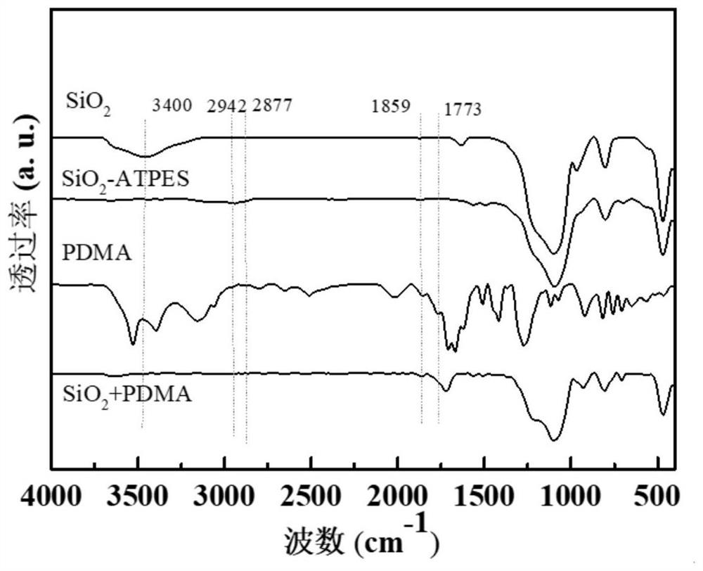 Imide bond grafted NHPI catalyst, preparation method and application thereof