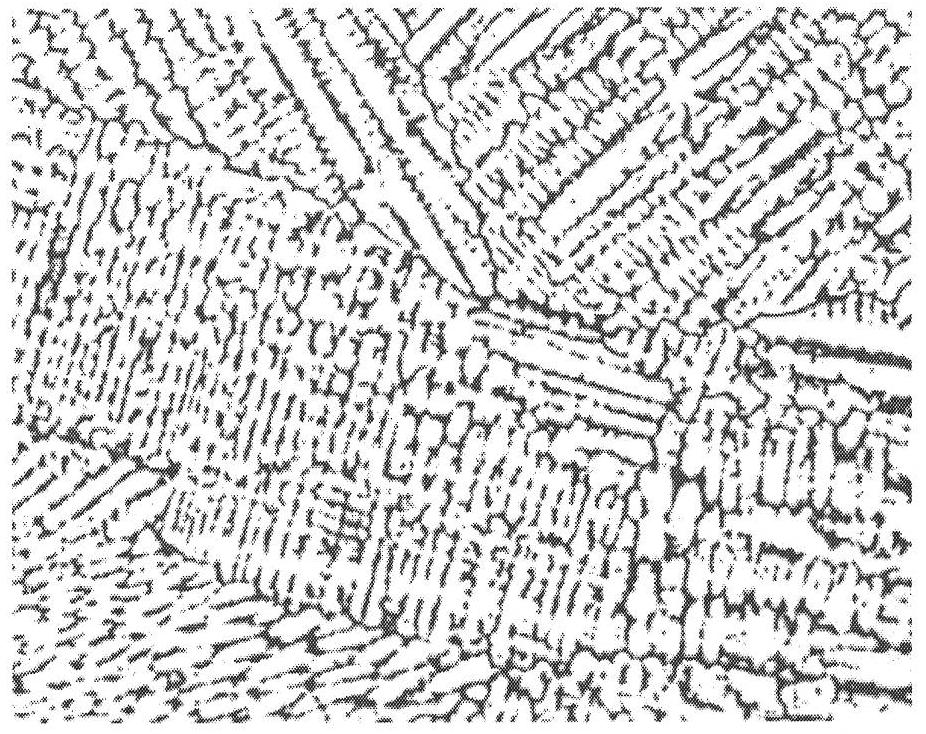 Method for preparing lead and lead alloy metallic phase samples and exposing texture