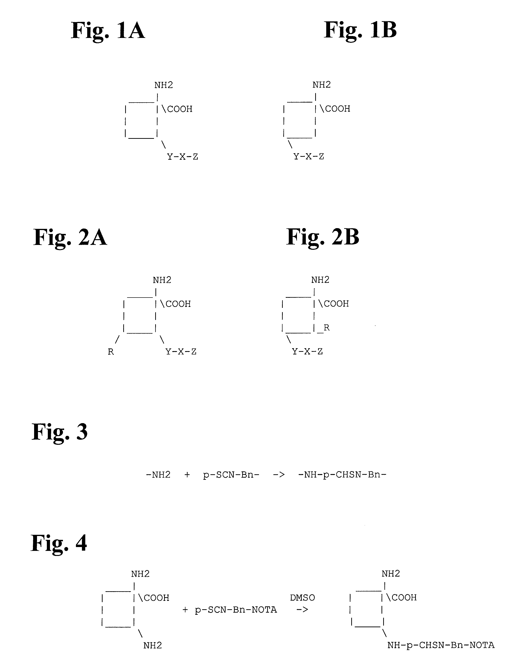 Radiometal-labeled amino acid analogs, imaging and therapeutic agents incorporating the same, and methods using the same