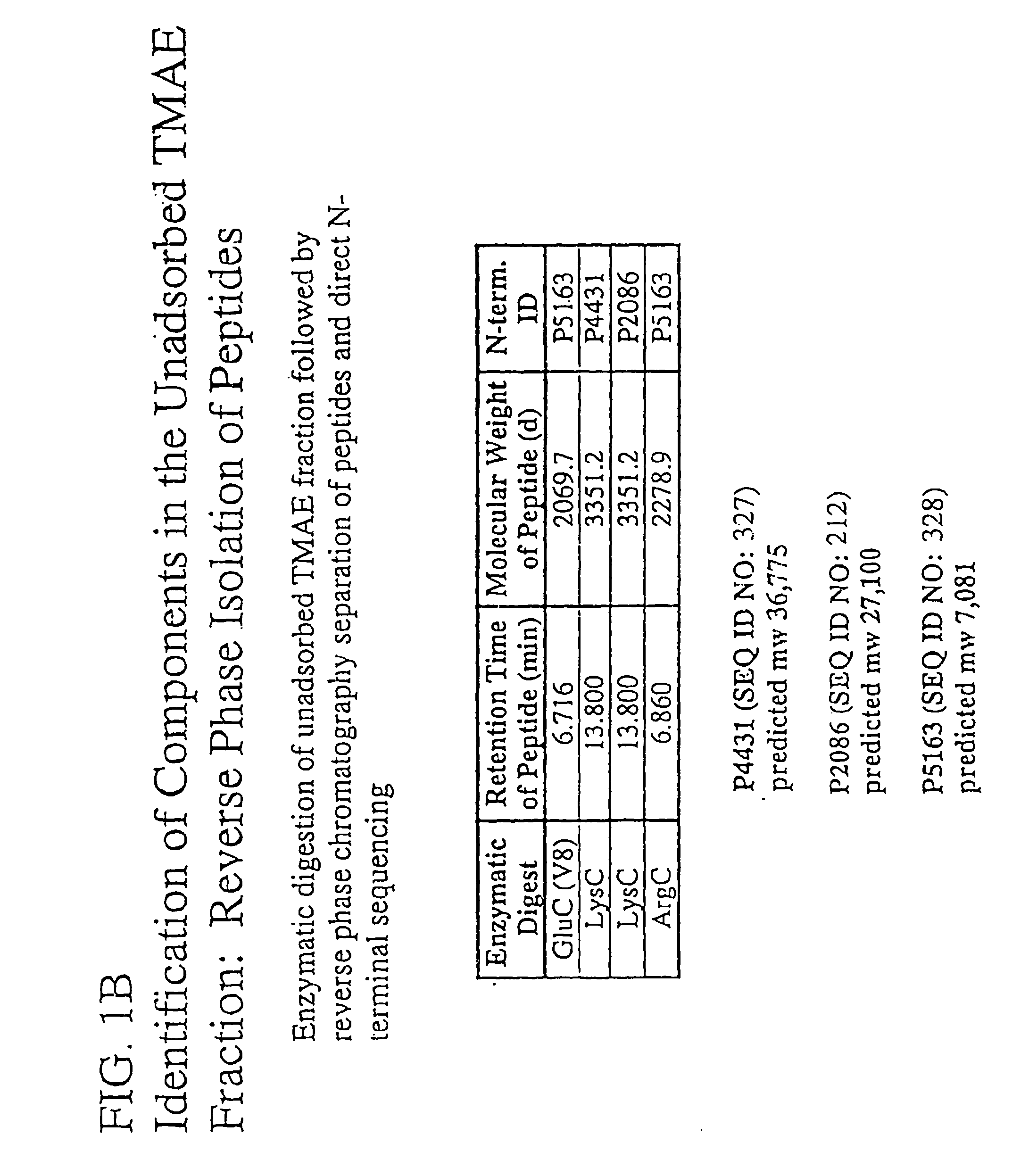 Novel immunogenic compositions for the prevention and treatment of meningococcal disease