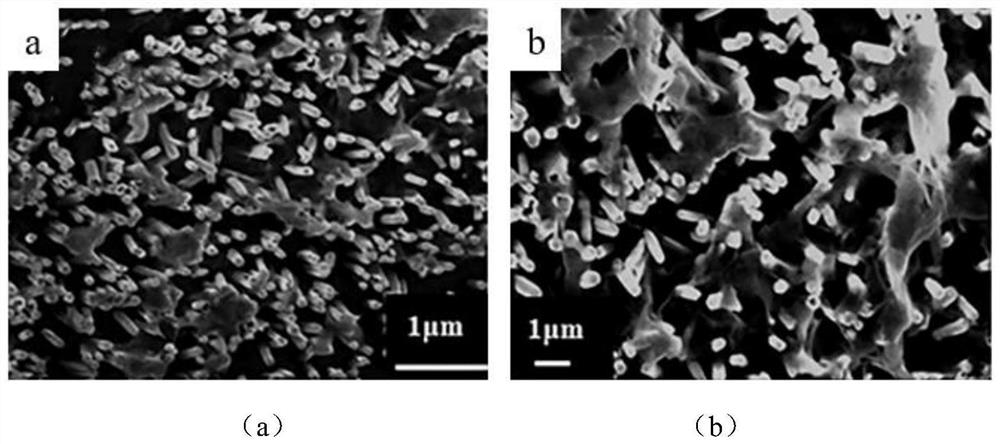 Al-doped ZnO nano rod as well as preparation method and application thereof