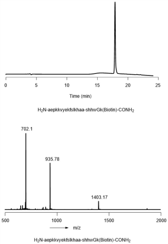 Mirror image protein information storage and coding technology