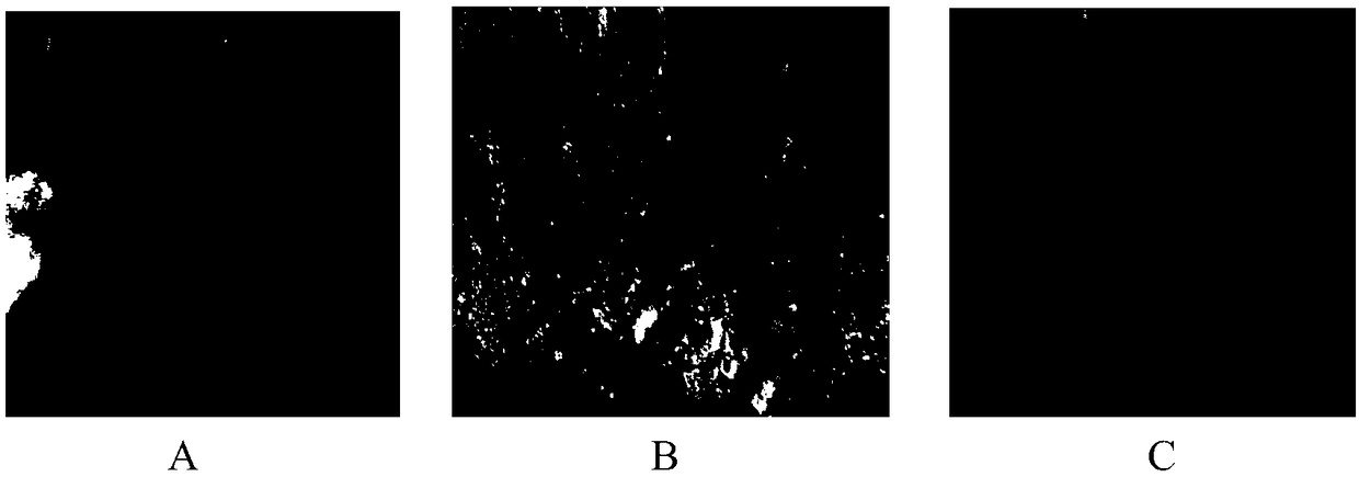 Electrolytic etchant and electrolytic etching method for chromium zirconium copper alloys