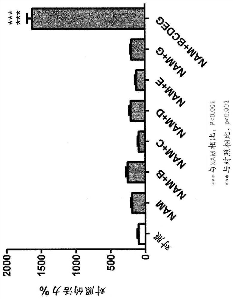 Compositions that protect cells from oxidative and mitochondrial stress