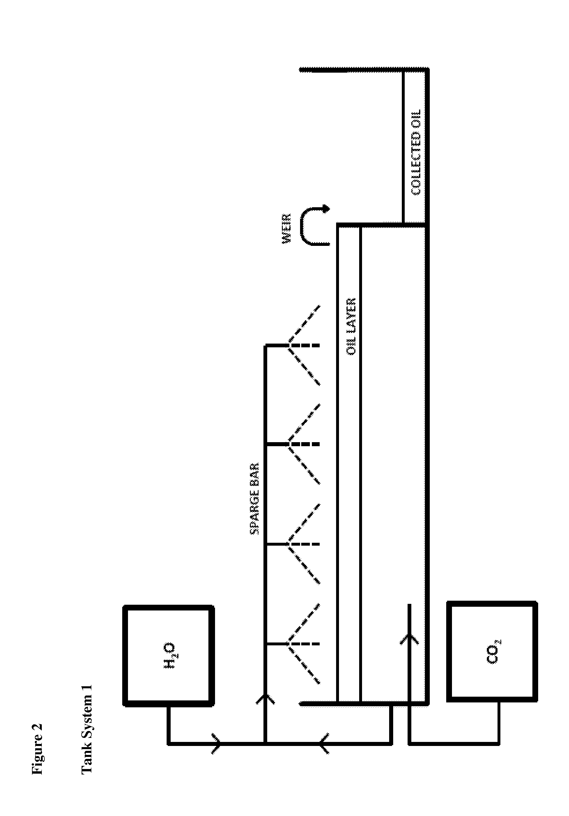 Microorganism for converting carbon dioxide to aliphatic carboxylic acids via formic acid intermediate