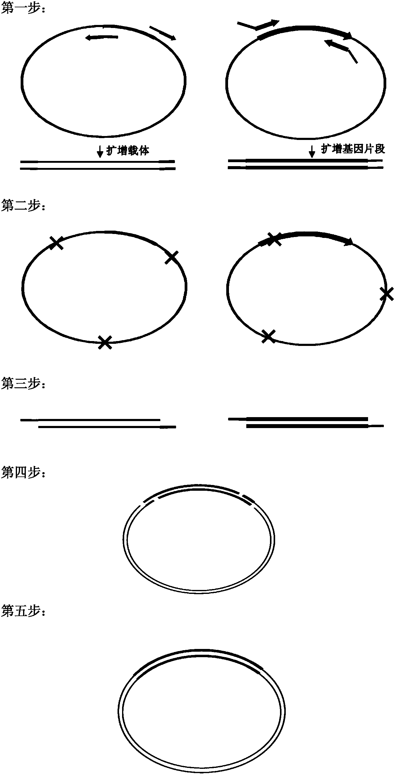 Biomedical molecule cloning method