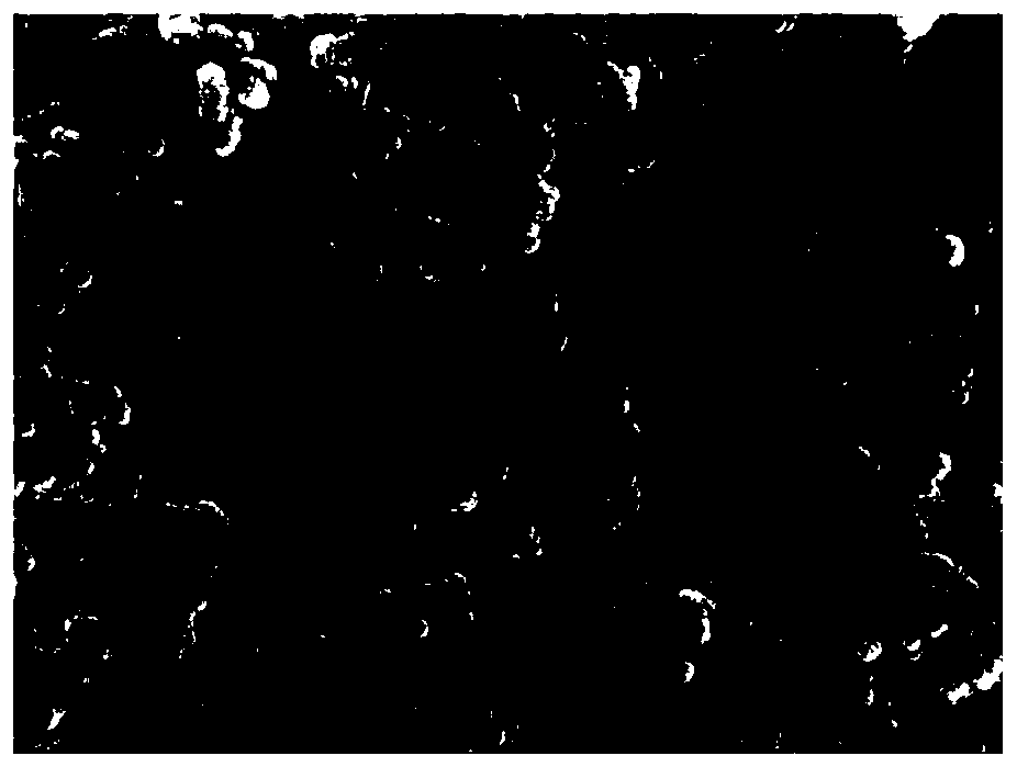 Carbon crystal electrothermal film and preparation method and application thereof