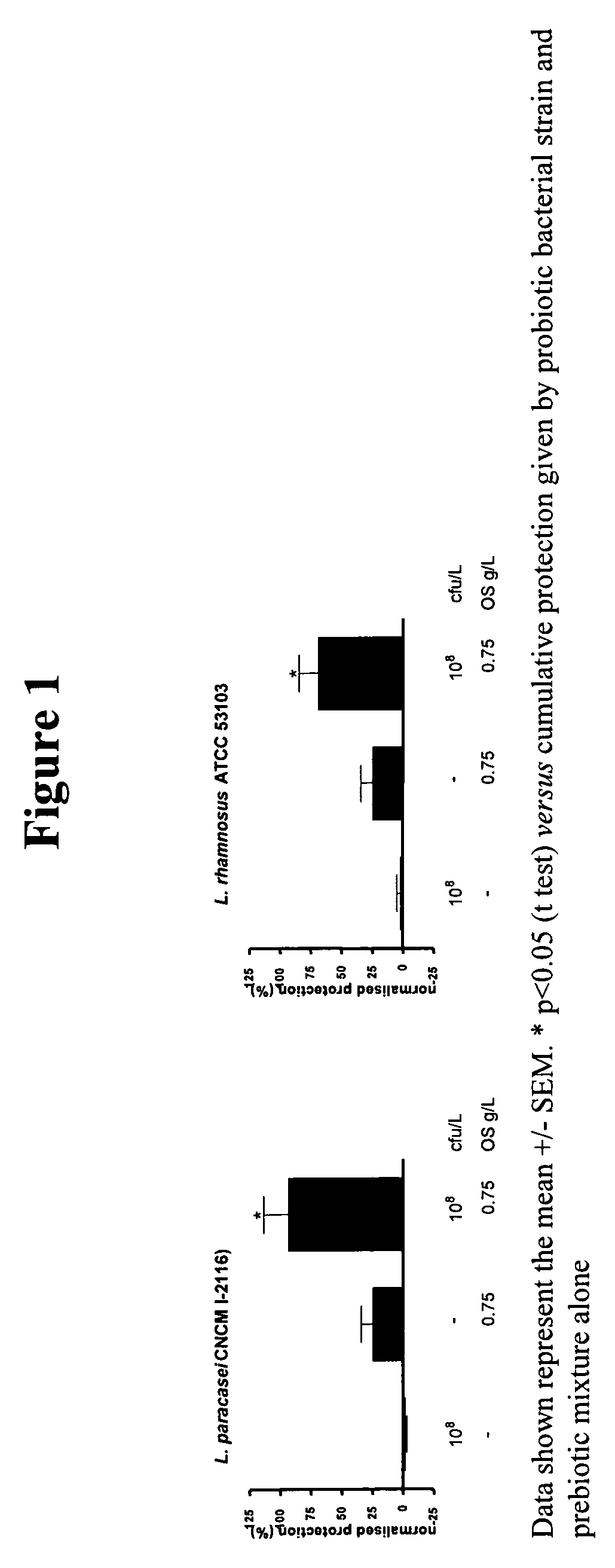 Synbiotic mixture