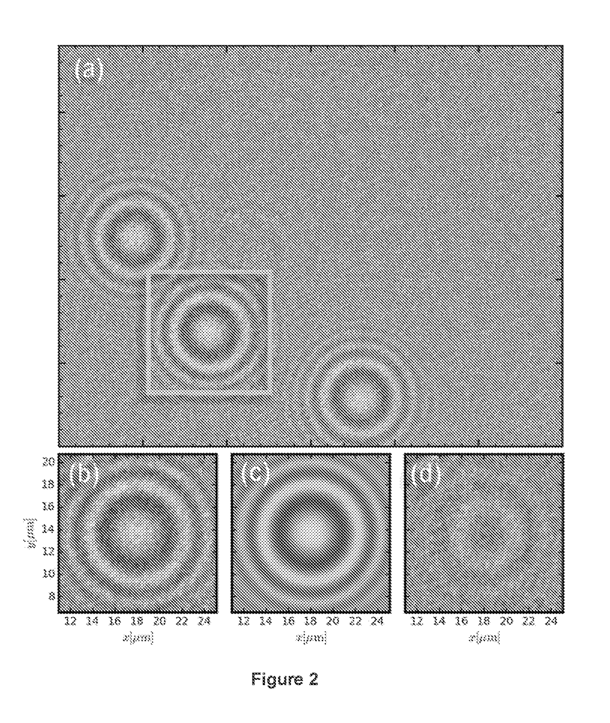 Holographic detection and characterization of large impurity particles in precision slurries