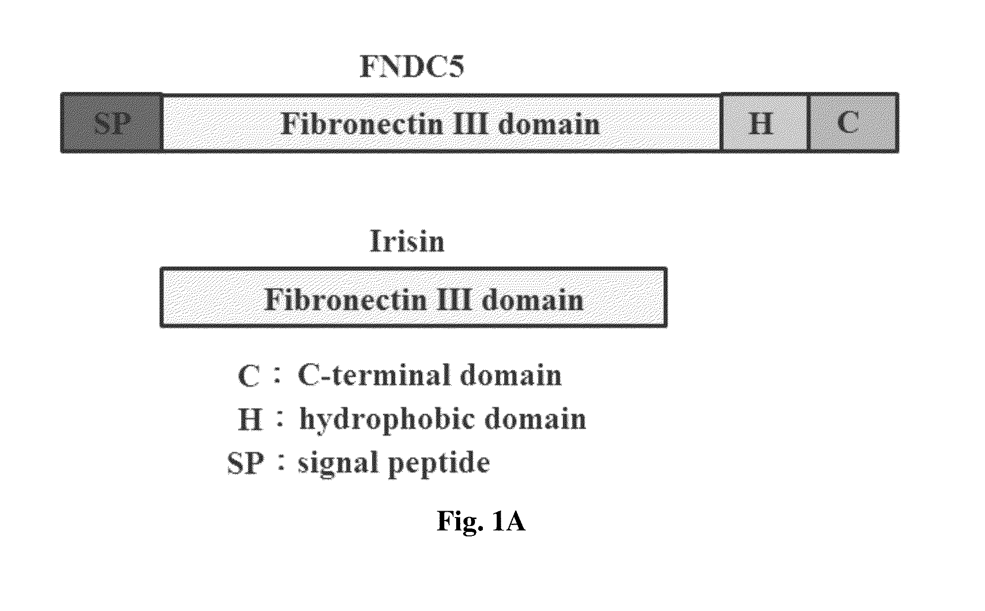 Method for enhancing wound healing