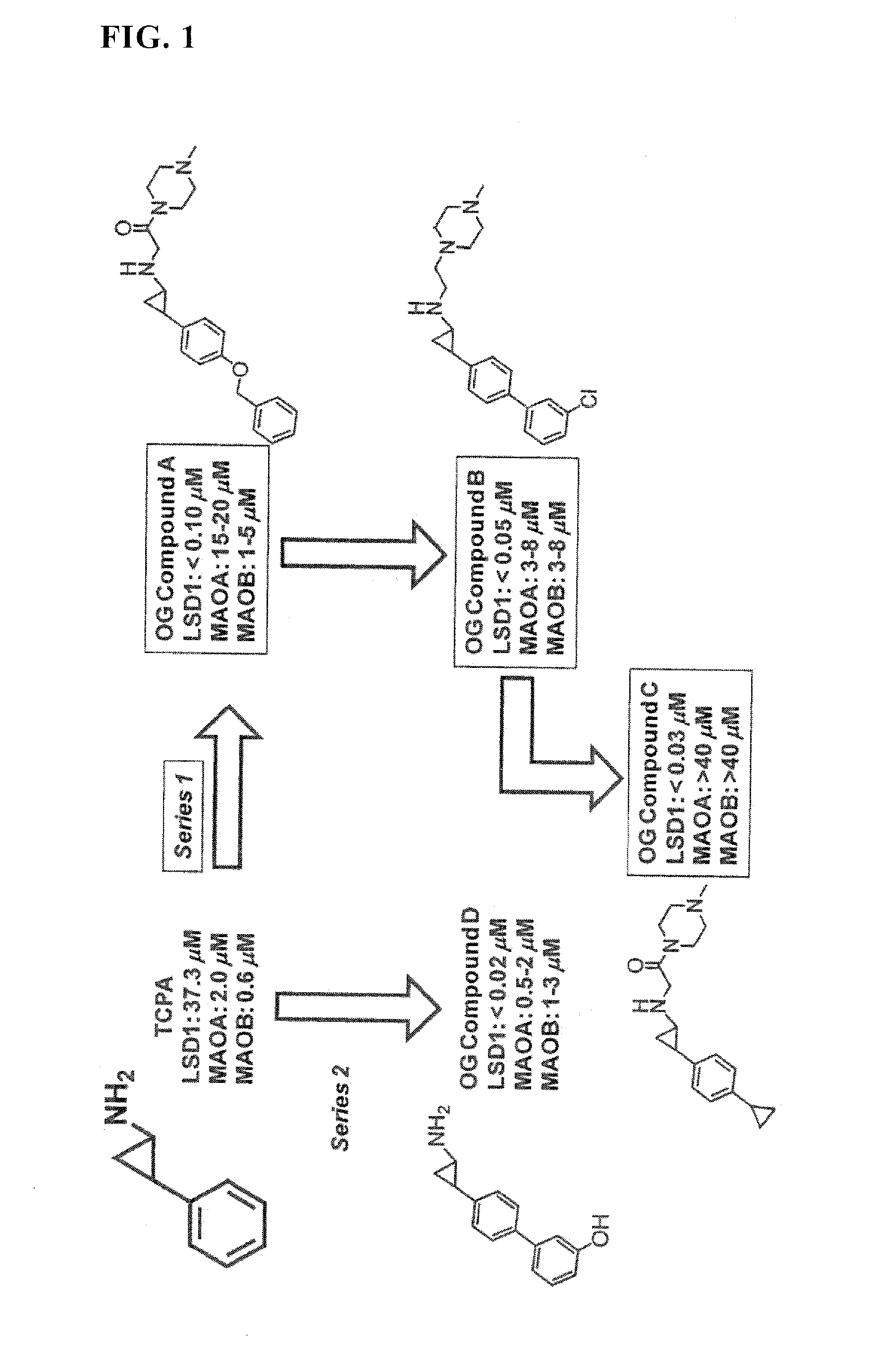 Lysine demethylase inhibitors for myeloproliferative or lymphoproliferative diseases or disorders