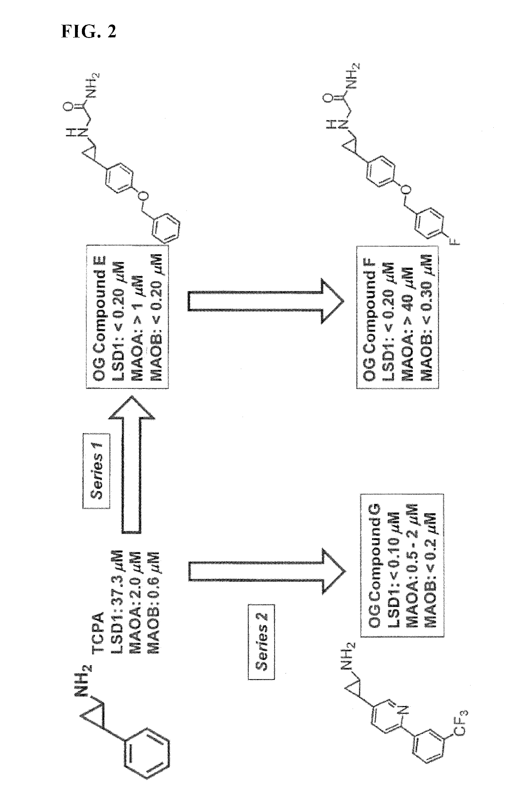 Lysine demethylase inhibitors for myeloproliferative or lymphoproliferative diseases or disorders