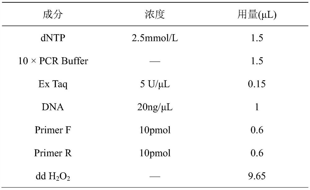 Polymorphic microsatellite dna molecular marker for deer and its use