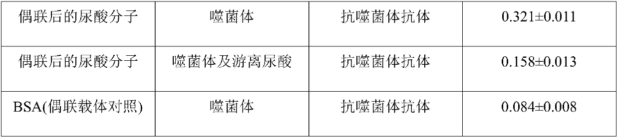 Uric acid-lowering molecules and screening method and application thereof