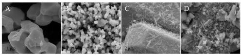 Silver phosphate/bismuth sulfide/bismuth oxide double-Z-type photocatalyst and preparation method thereof