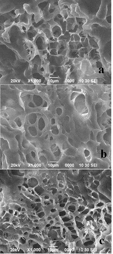 Method for improving antifreezing performance of dumpling meat stuffing by ultrasonic treatment