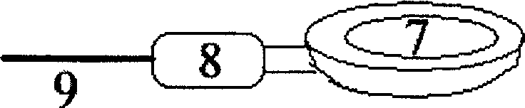 Mouse asthmatic model semiotic monitor