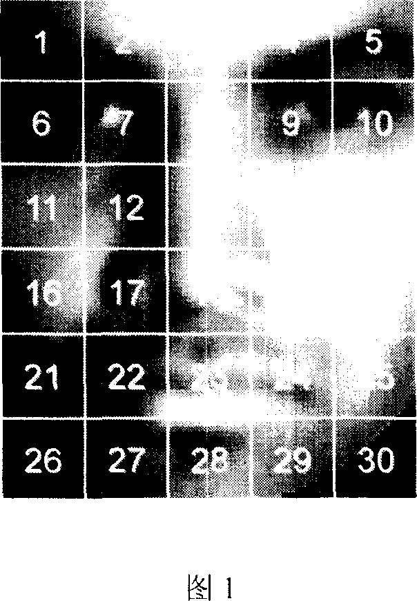 Human face identifying method based on structural principal element analysis