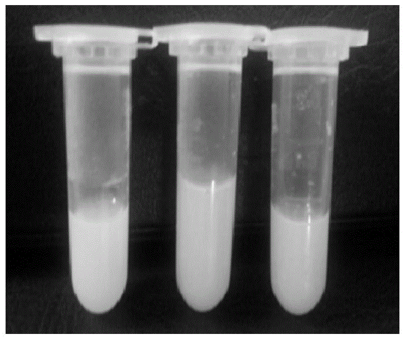 Preparation method of polystyrene-acrylate core-shell composite emulsion