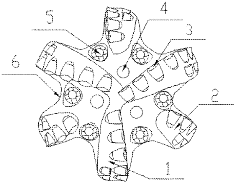 Blade type PDC (Polycrystalline Diamond Compact) drill bit