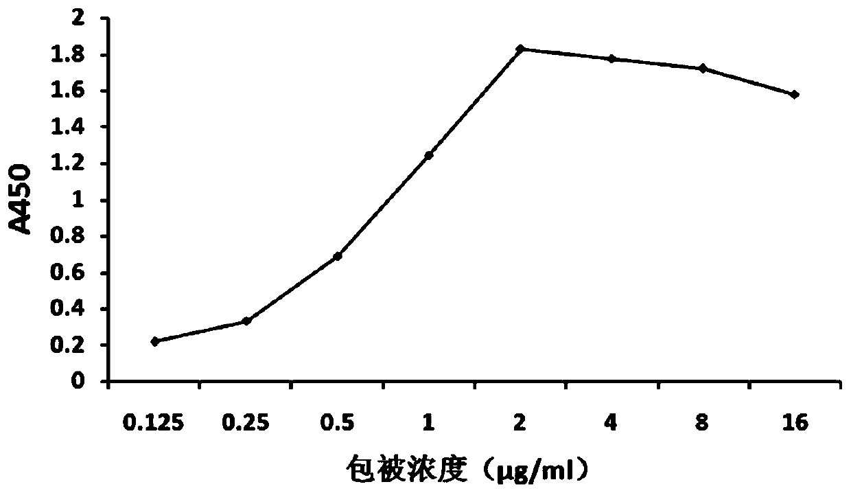 Recombinant antigen protein for detecting dengue 2 type virus antibody, kit and application of recombinant antigen protein