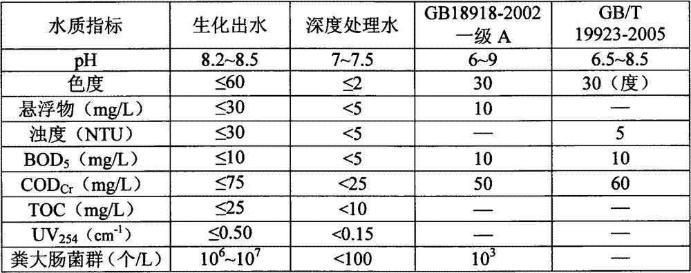 Advanced treatment process for biochemical effluent in centralized sewage treatment plant