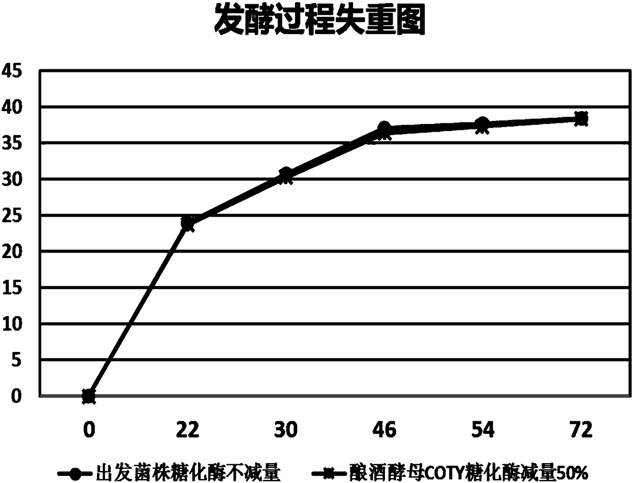 Saccharomyces cerevisiae strain and applications