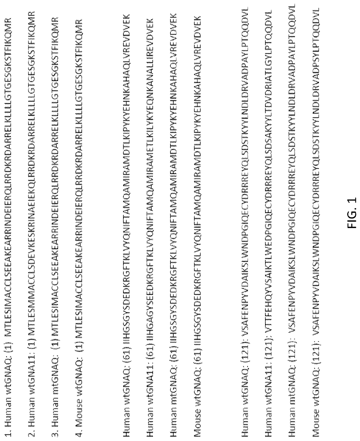 Vaccine vector encoding mutated gnaq for treatment of uveal melanoma and cancers having oncogenic mutations on gnaq and gna11 proteins