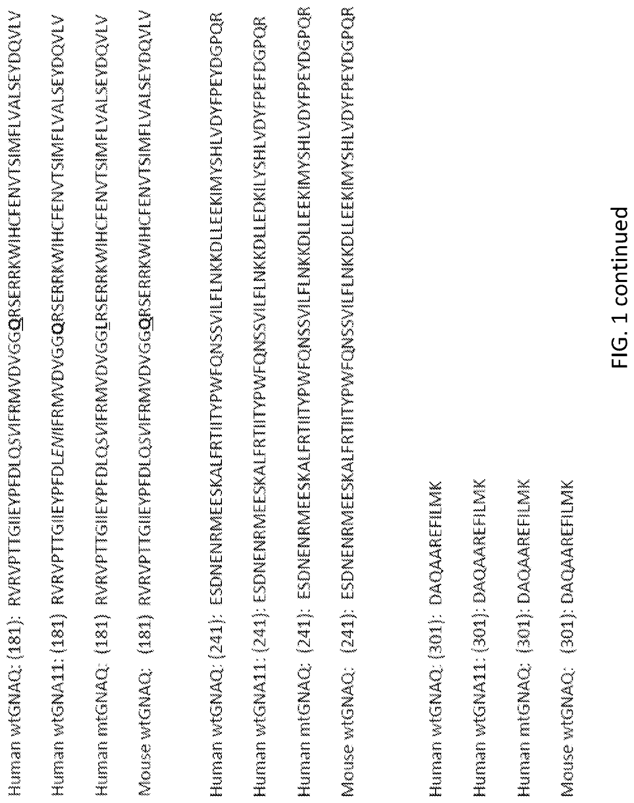 Vaccine vector encoding mutated gnaq for treatment of uveal melanoma and cancers having oncogenic mutations on gnaq and gna11 proteins