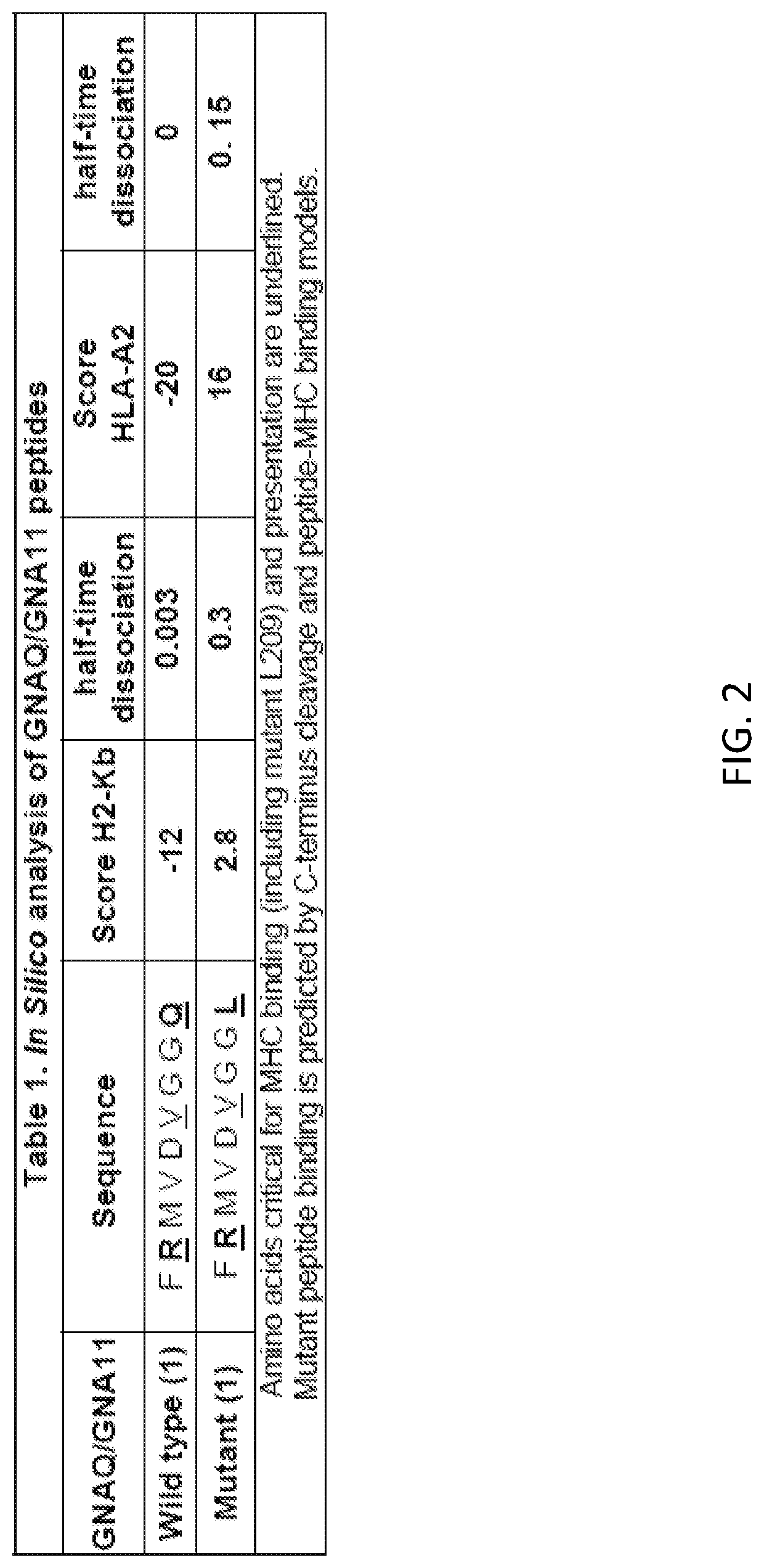 Vaccine vector encoding mutated gnaq for treatment of uveal melanoma and cancers having oncogenic mutations on gnaq and gna11 proteins