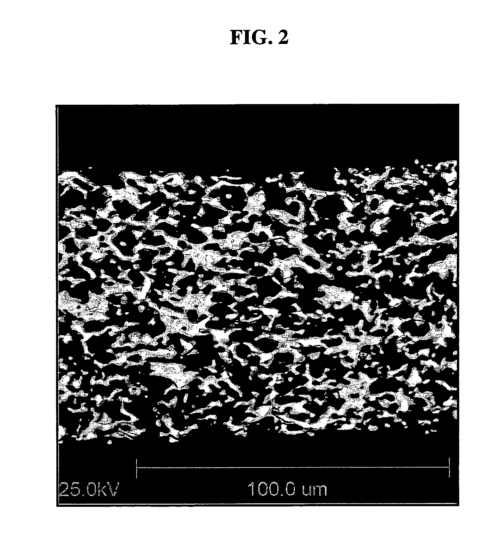 High porosity honeycomb and method