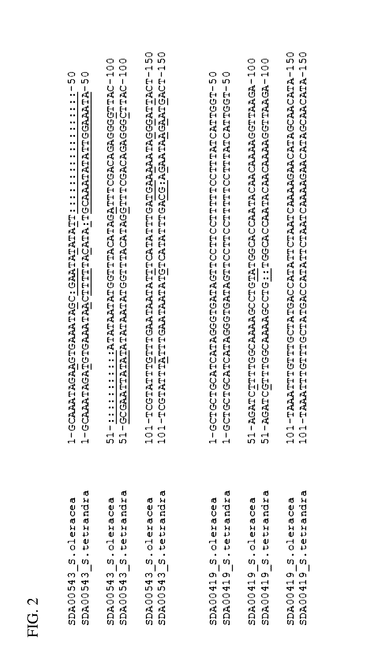 Methods and Compositions for Peronospora Resistance in Spinach