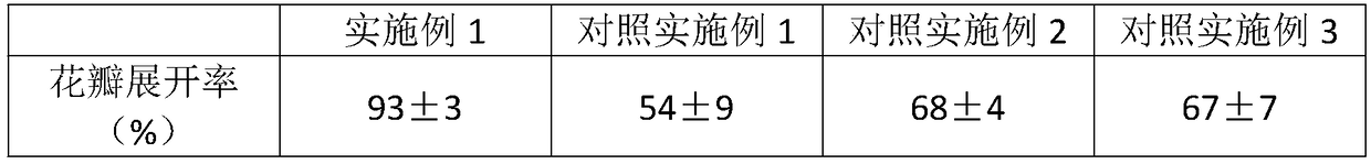 Preparation method of chrysanthemum black tea with flower shape