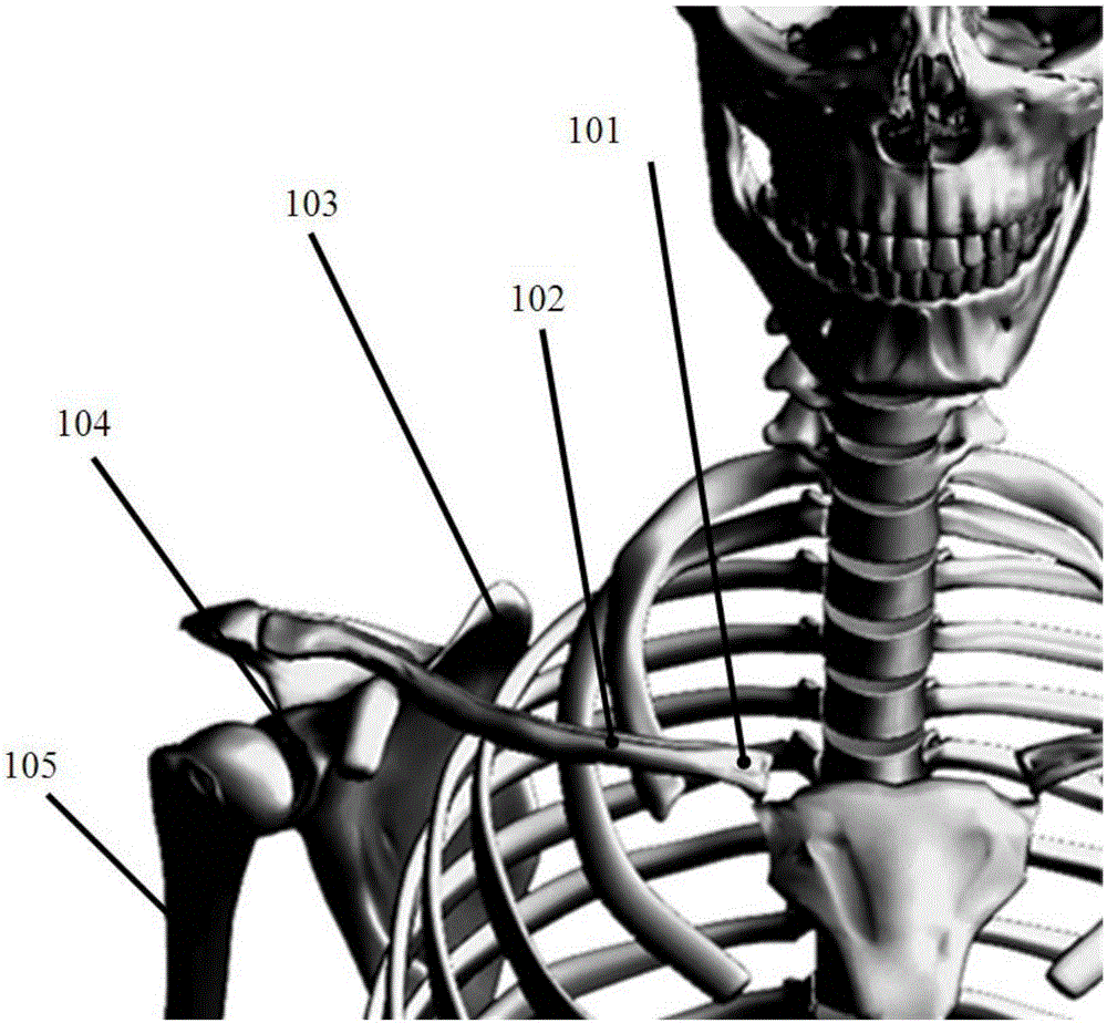 Exoskeleton robot shoulder joint design method based on four-connecting-rod mechanism