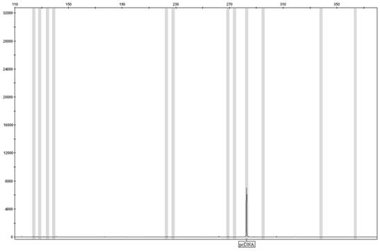 Kit for detecting individual skin genes and use method of kit