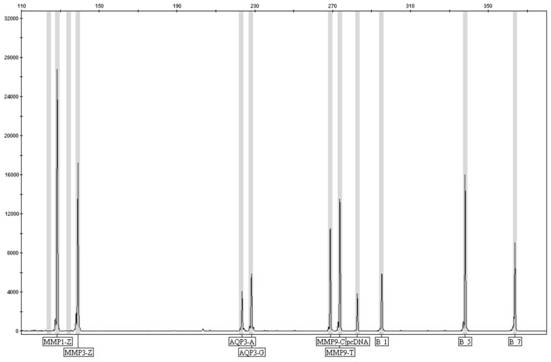 Kit for detecting individual skin genes and use method of kit