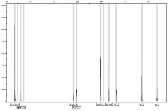 Kit for detecting individual skin genes and use method of kit