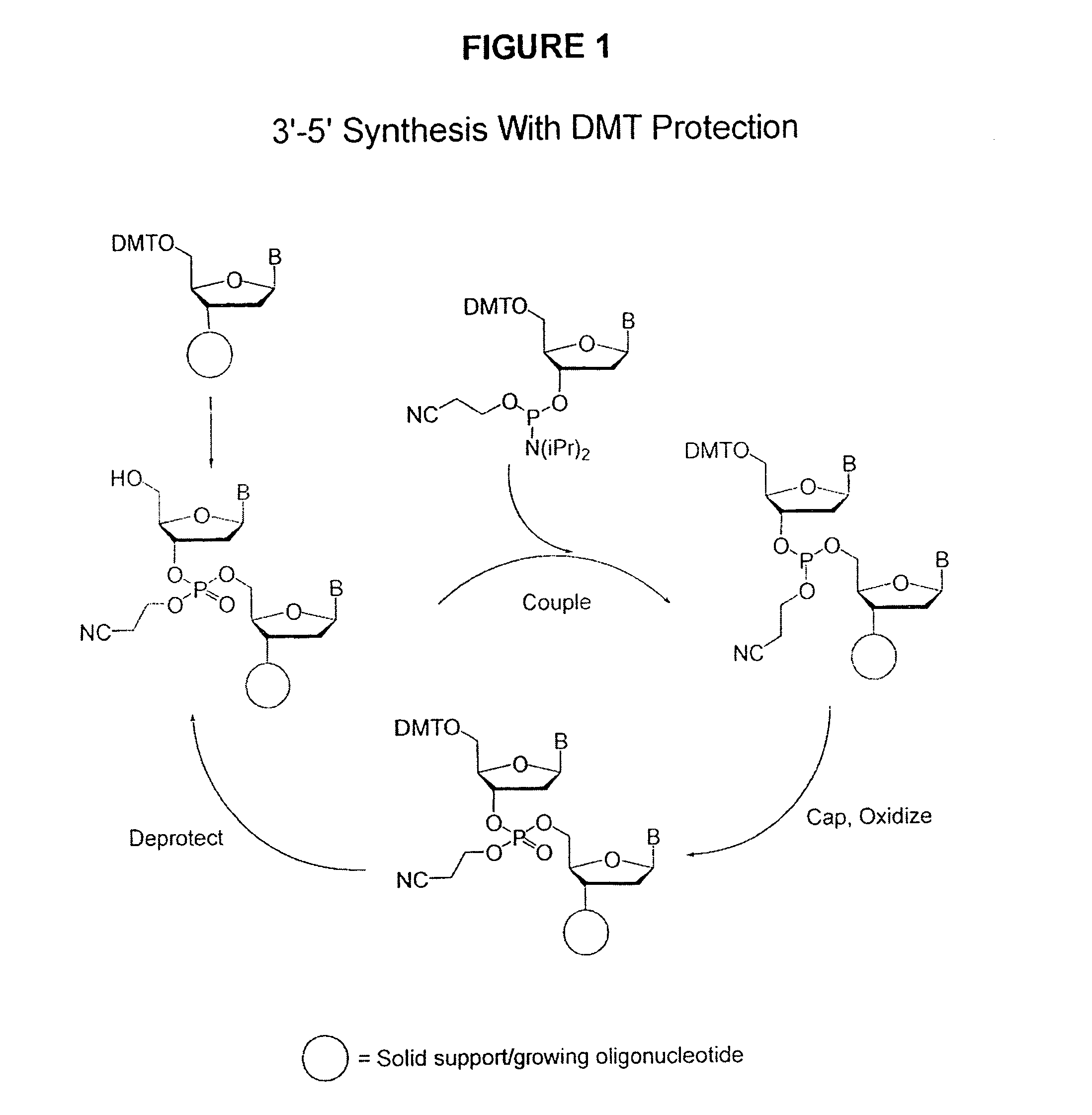 Methods of synthesizing oligonucleotides using carbonate protecting groups and alpha-effect nucleophile deprotection