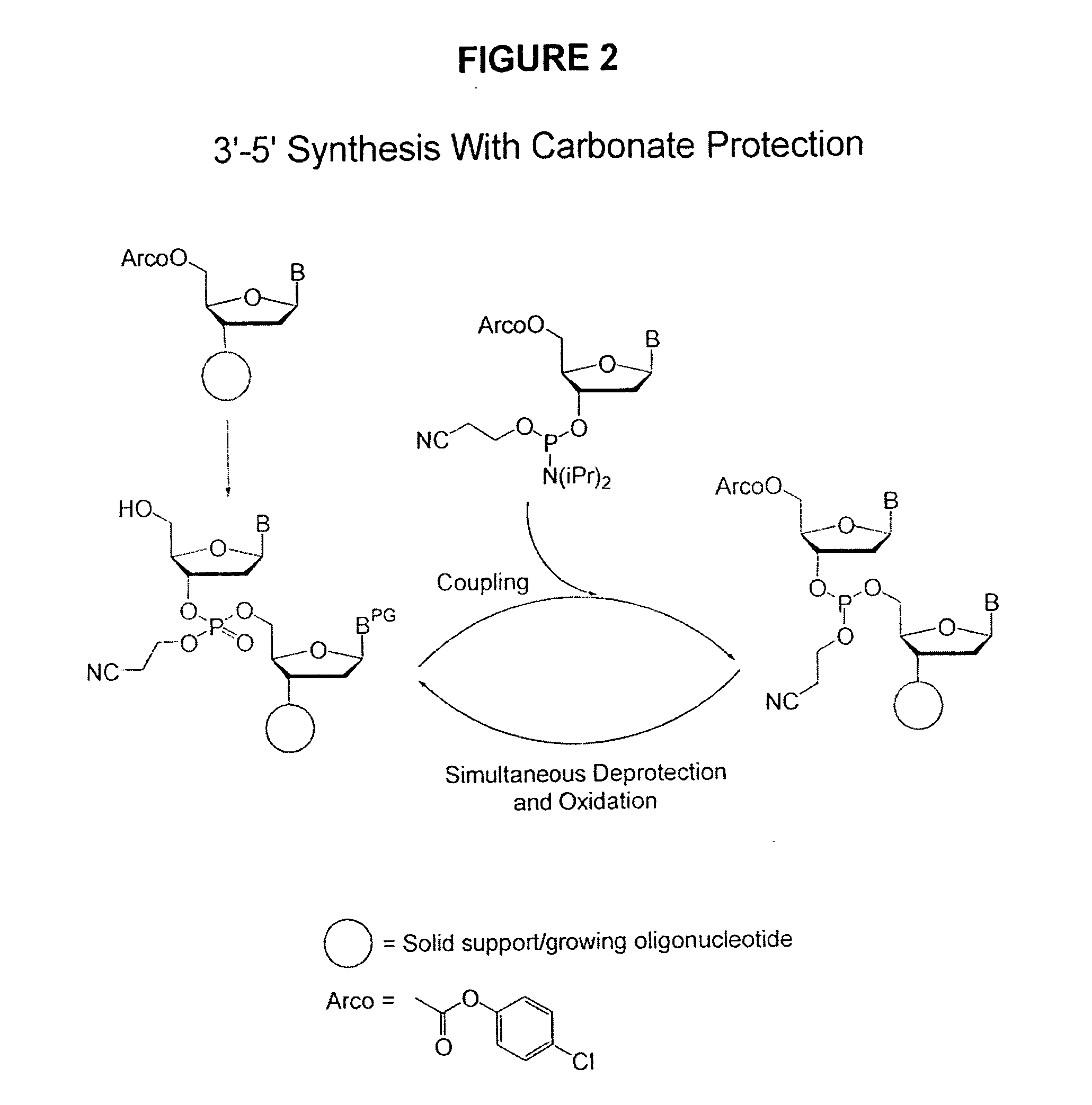 Methods of synthesizing oligonucleotides using carbonate protecting groups and alpha-effect nucleophile deprotection