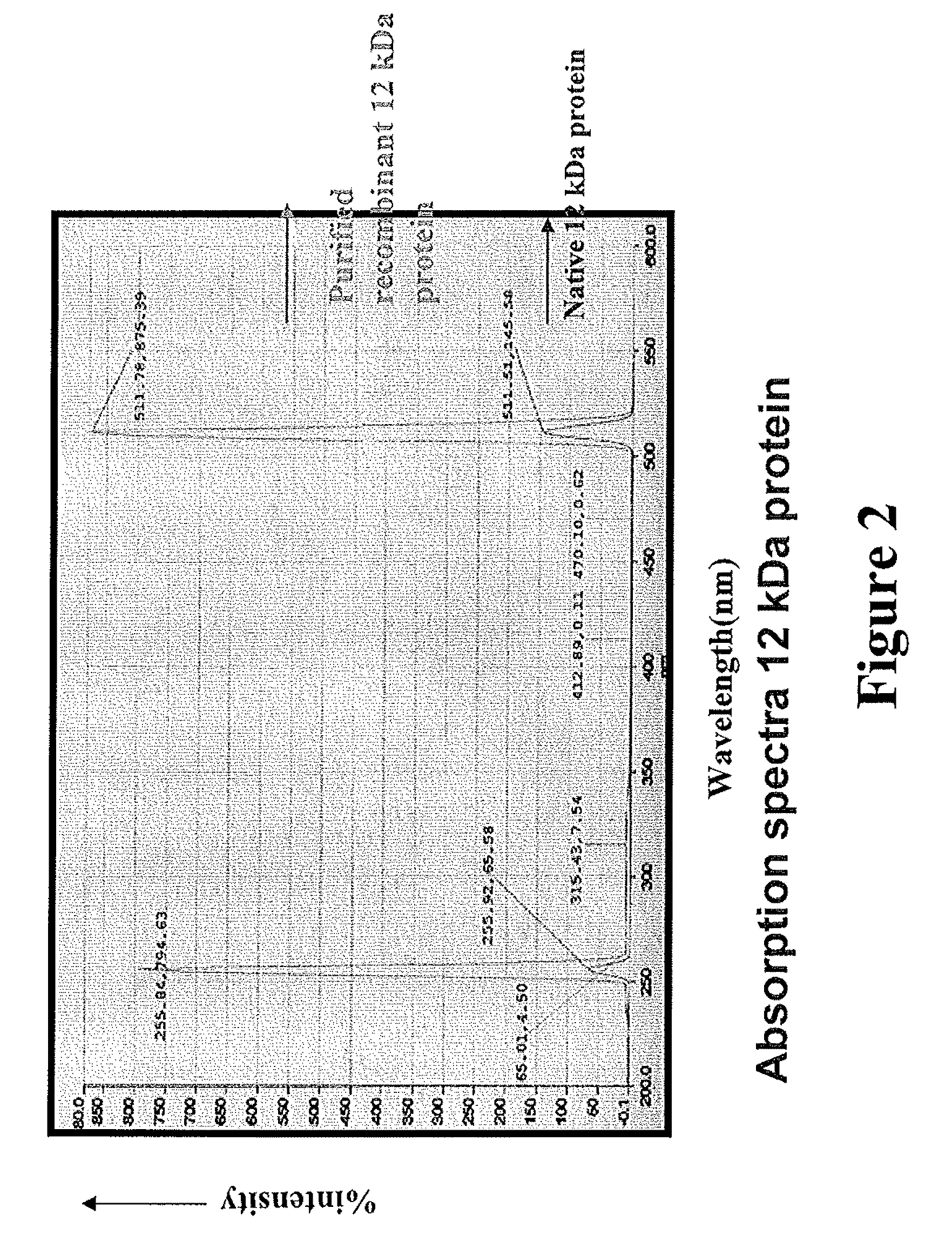 Recombinant 12-kda protein useful for the detection of respiratory allergies