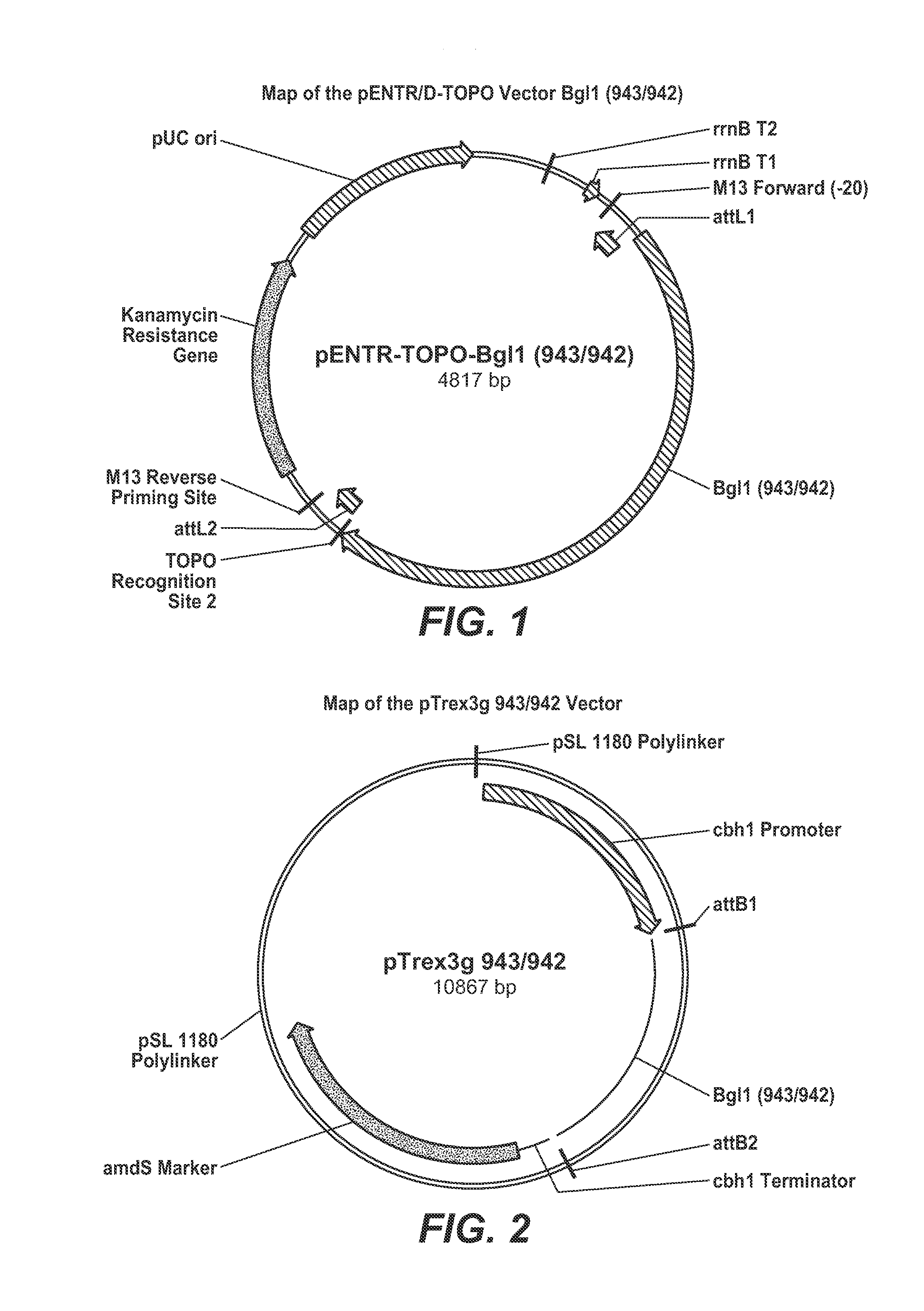 Beta-glucosidase from neurospora crassa