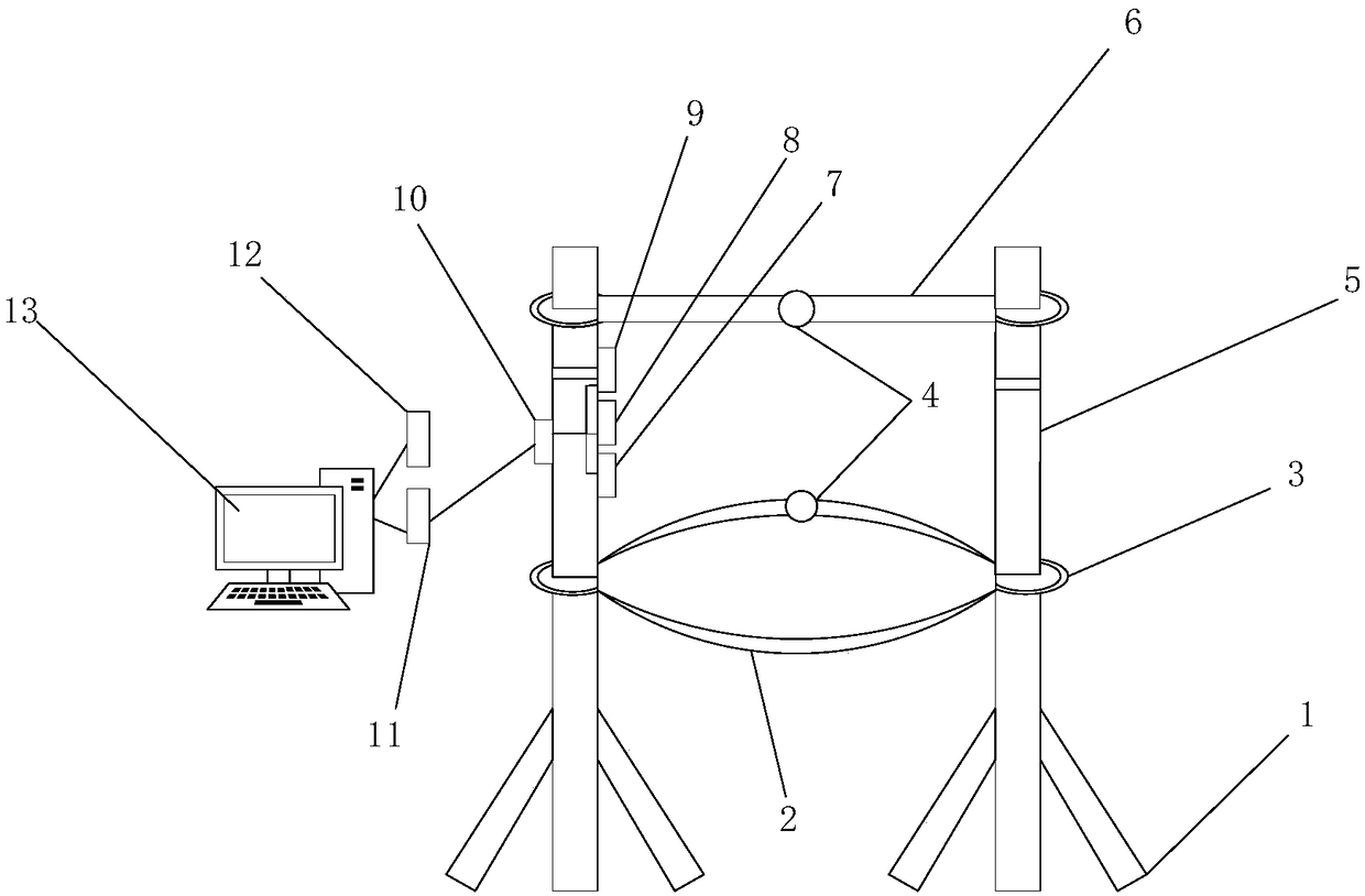 Intelligent supporting system for preventing dendrobe from lodging