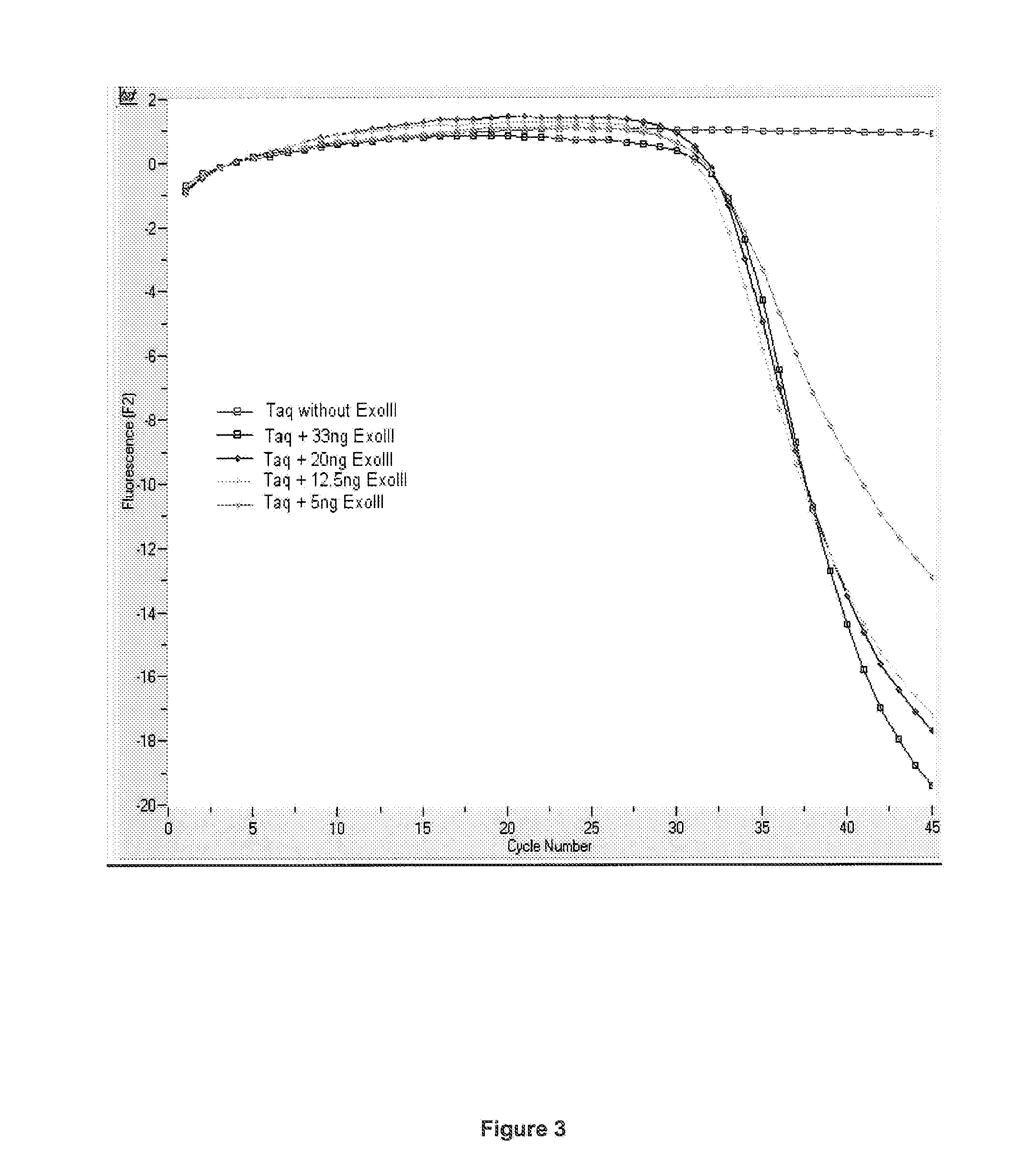 Detection format for hot start real time polymerase chain reaction