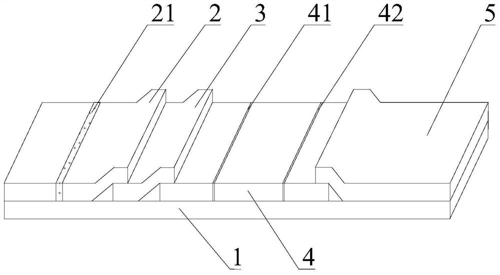 A test paper suitable for quantitative detection of peripheral blood immunochromatography and its application